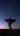 Antenna Picture